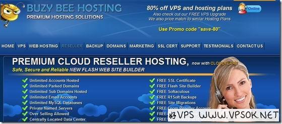 bzybhosting