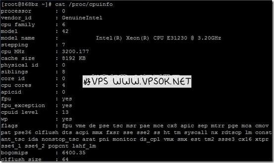 vircpu