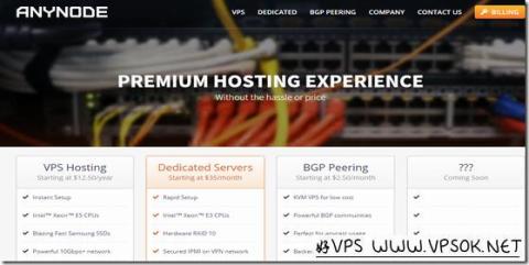 Anynode：$12/年OpenVZ-1GB/20G SSD/1TB/迈阿密