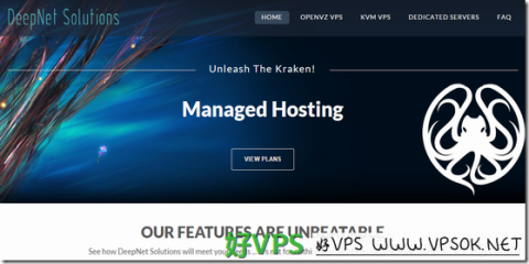 DeepNetSolutions：$2.5/月OpenVZ-512MB/50GB/1TB 七数据中心