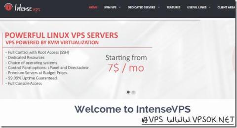 IntenseVPS：$5/月KVM-768MB/25GB/1TB 荷兰