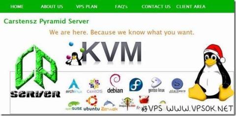 pyramidserver：KVM $30.6/年 128MB/256MB/6GB/100GB